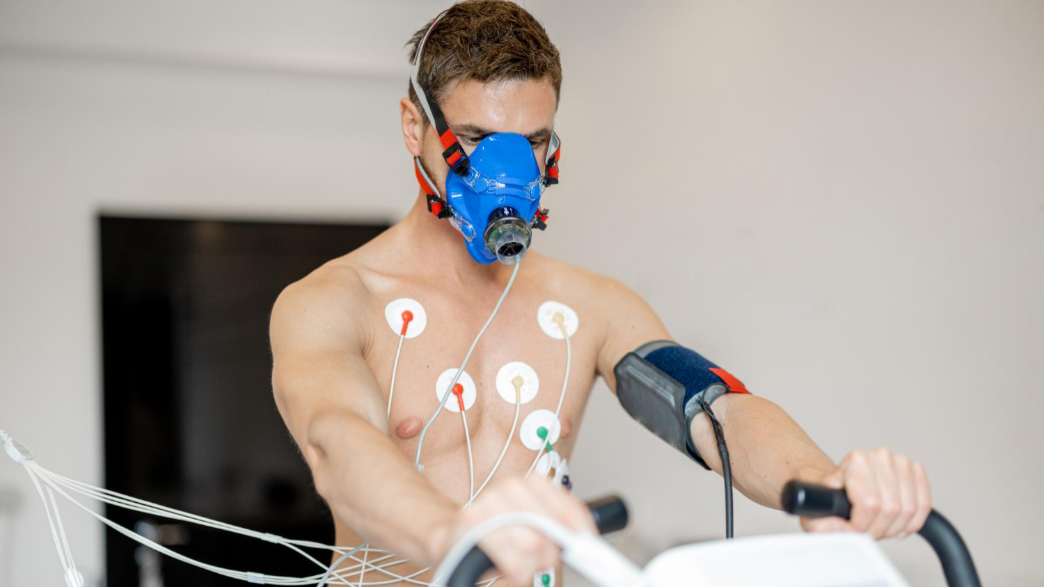 Pulmonary Test Image