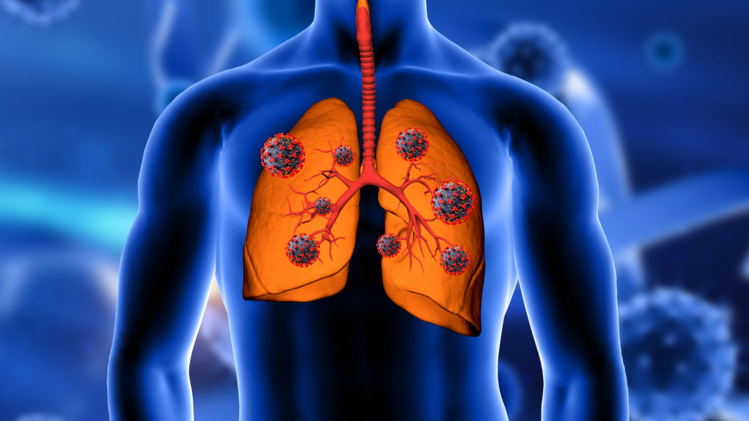 Pulmonary Test Image